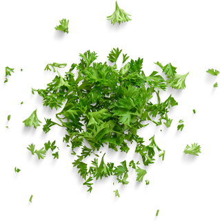 Premium isolated images & templates