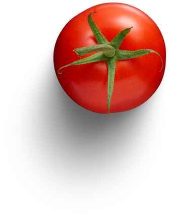 Premium isolated images & templates