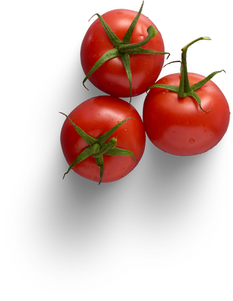 Premium isolated images & templates